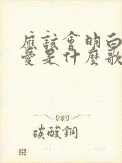 应该会明白我的爱是什么歌