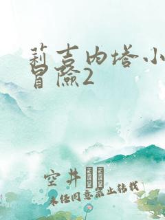 莉吉内塔小姐的冒险2