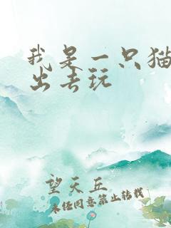 我是一只猫怎么出去玩