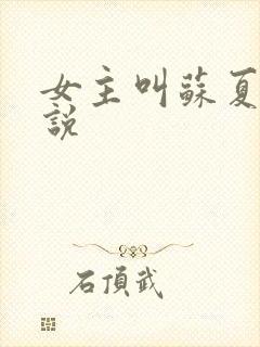 女主叫苏夏的小说