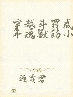 穿越斗罗成十万年魂兽的小说