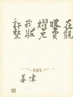 许我耀眼在线完整版免费观看电视剧