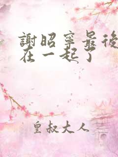 谢昭宁最后和谁在一起了