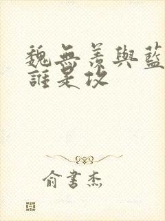 魏无羡与蓝忘机谁是攻