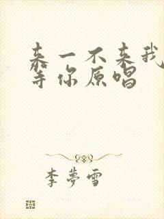 来一不来我都在等你原唱