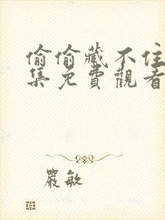 偷偷藏不住24集免费观看