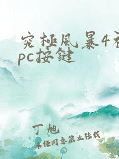 究极风暴4初始pc按键
