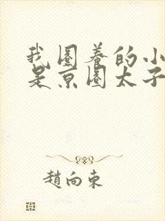 我圈养的小白脸是京圈太子爷短剧