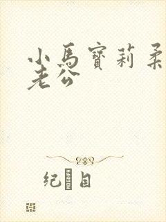 小马宝莉柔柔的老公