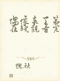 偶像来了第一季在线观看完整版免费高清