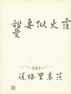 甜妻似火霍爷超爱