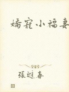 娇宠小福妻