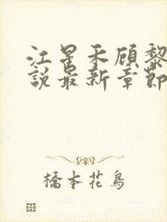 江星禾顾黎风小说最新章节