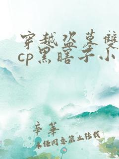 穿越盗墓双男主cp黑瞎子小说