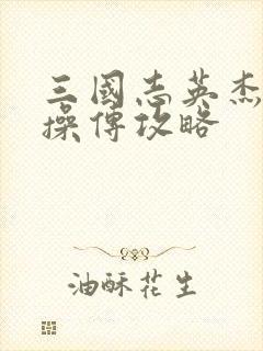 三国志英杰传曹操传攻略