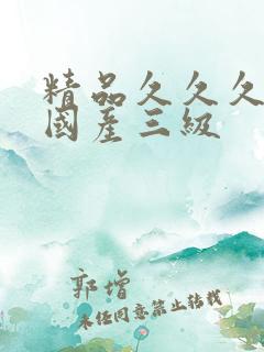 精品久久久久久国产三级