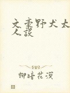 文豪野犬太宰治人设