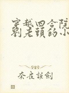 穿越四合院成为刘老头的小说