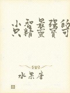 小智最强的二十只精灵宝可梦