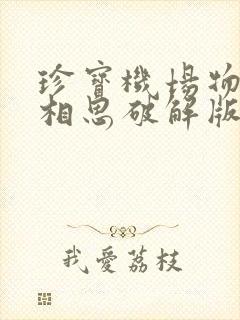 珍宝机场物语折相思破解版