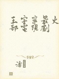 王宇宁最火的5部电视剧