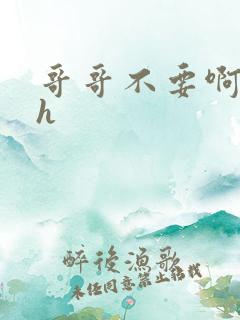 哥哥不要啊啊啊h