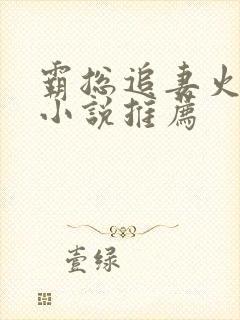 霸总追妻火葬场小说推荐