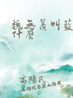 魏无羡叫蓝忘机什么