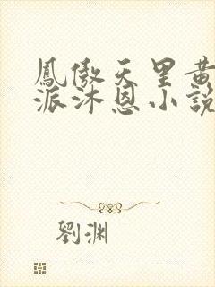 凤傲天里黄毛反派沐恩小说