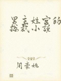 男主姓宫的现代总裁小说