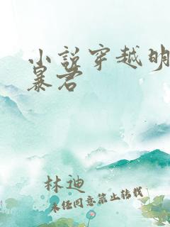 小说穿越明朝当暴君