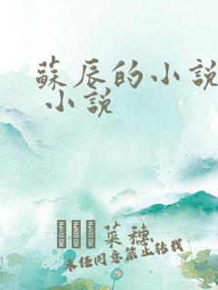 苏辰的小说主角 小说