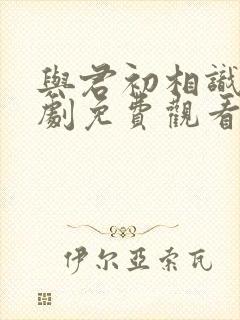 与君初相识电视剧免费观看完整