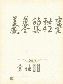 美丽的秘密电视剧全集42完整版