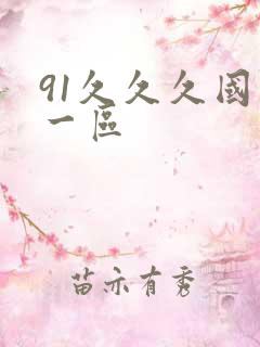 91久久久国产一区