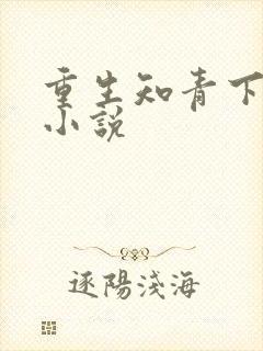 重生知青下乡的小说