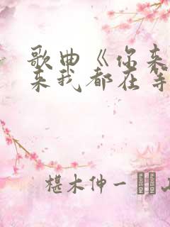 歌曲《你来与不来我都在等你》