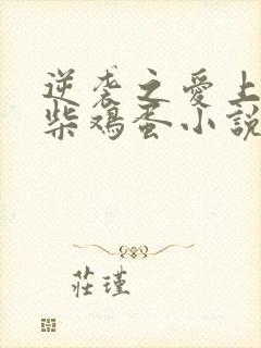 逆袭之爱上情敌柴鸡蛋小说免费阅读全文在线