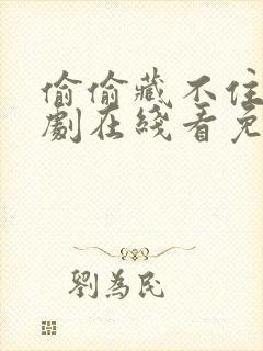 偷偷藏不住电视剧在线看免费