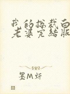 我的总裁白富美老婆完结版