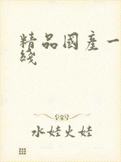 精品国产一线二线