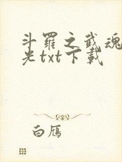 斗罗之武魂是绿光txt下载