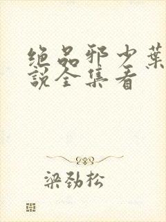 绝品邪少叶潇小说全集看