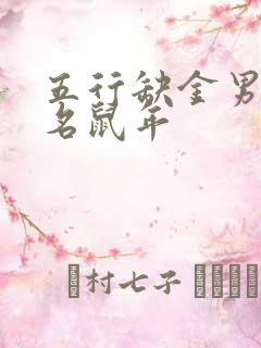 五行缺金男孩取名鼠年