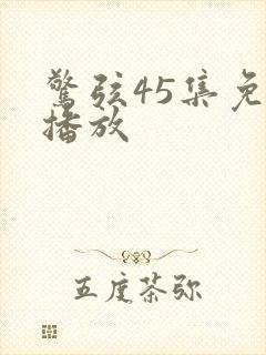 惊弦45集免费播放