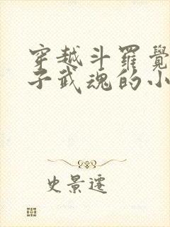 穿越斗罗觉醒竹子武魂的小说