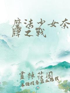 魔法少女奈叶王牌之战