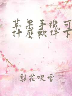 苹果手机可以用什么软件下载软件