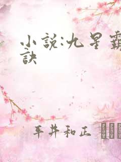 小说:九星霸体诀