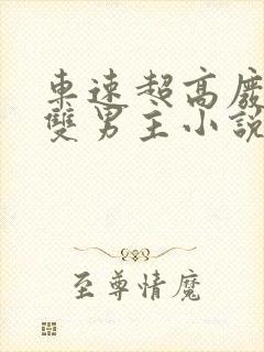 车速超高废文的双男主小说推荐免费